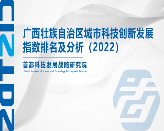 大鸡巴狠肏骚屄视频【成果发布】广西壮族自治区城市科技创新发展指数排名及分析（2022）